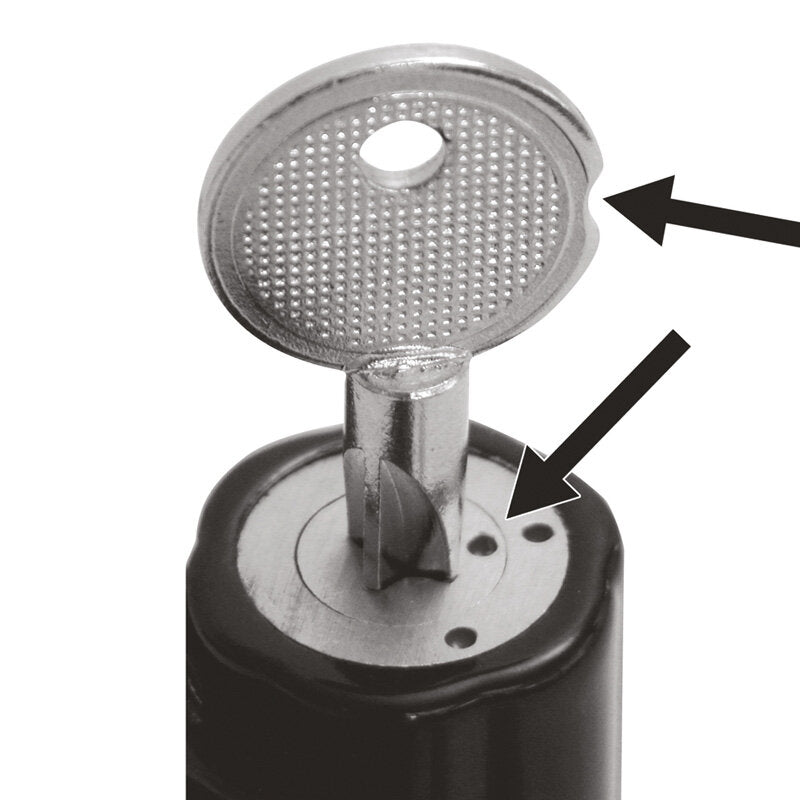 Carpoint Elephant Stuurslot